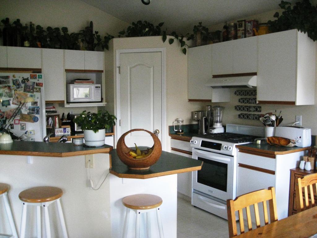 Avens ReNaissance B&B Canmore Extérieur photo